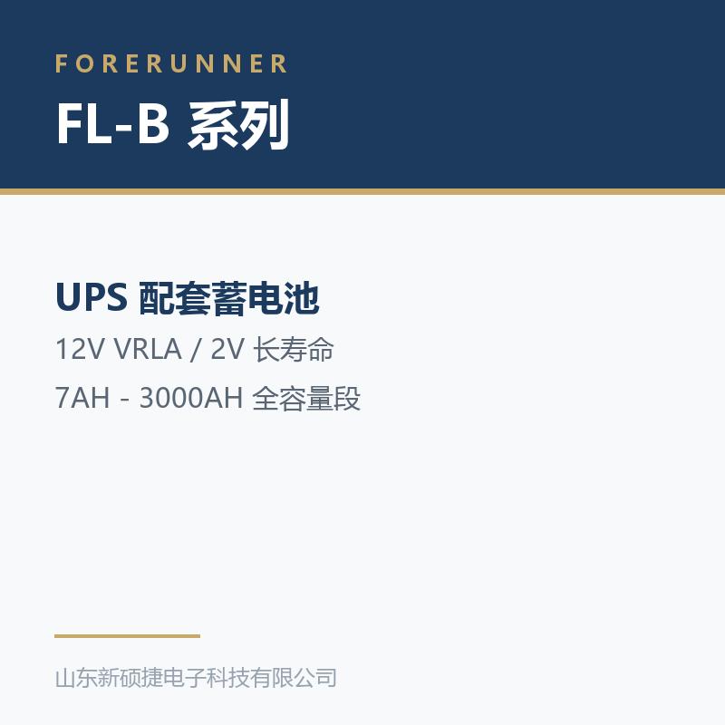 FL-B 系列 12V 阀控式铅酸蓄电池(烟台市UPS电源)