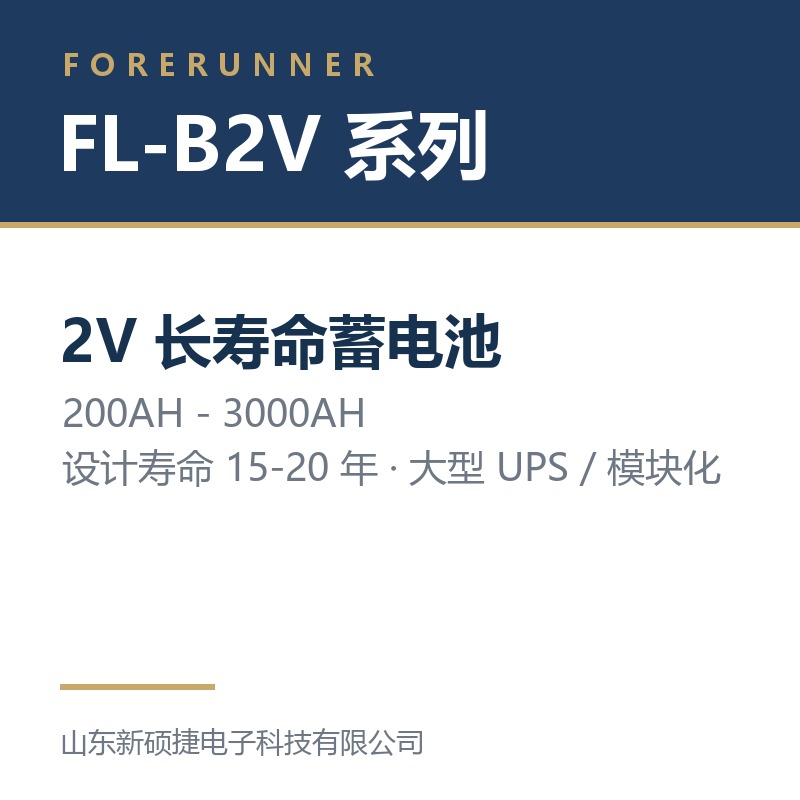 FL-B2V 系列 2V 长寿命蓄电池(烟台市UPS电源)